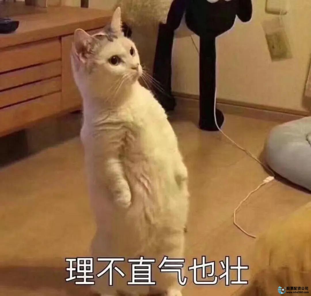 A股市场独立上涨_场外配资风险与监管_炒股配资咨询