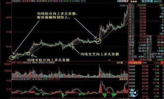 如何加杠杆炒股_中国股市交易系统建立_股票交易系统要素