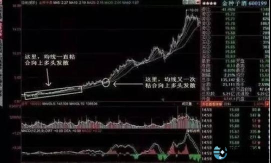 股票交易系统要素_中国股市交易系统建立_如何加杠杆炒股
