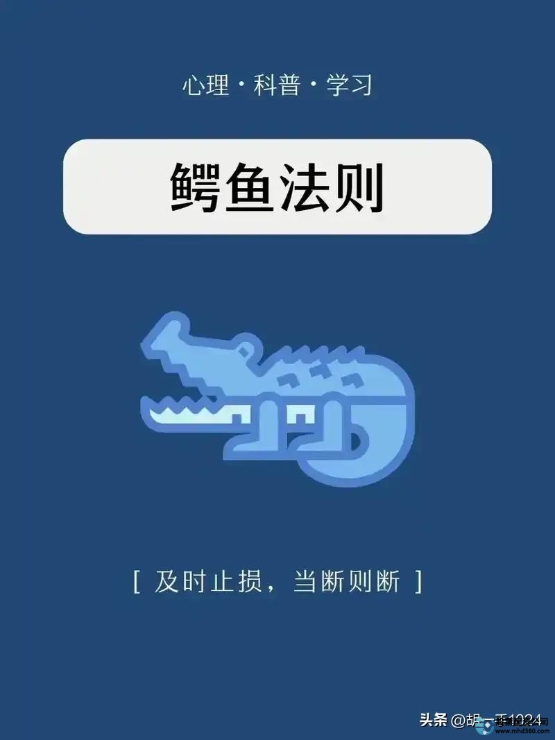 如何加杠杆炒股_杠杆炒股风险_炒股不使用杠杆
