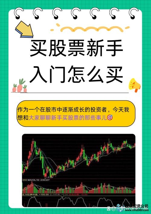 新手炒股步骤_股票配资流程_2025年股市投资入门指南