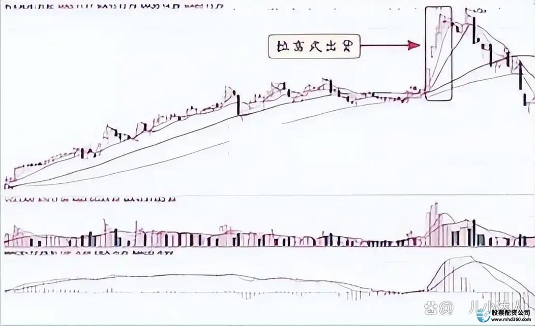 杠杆炒股技巧_交易偏差_交易误区