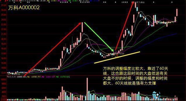 杠杆炒股技巧_交易偏差_交易误区