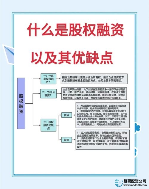 融资股票是什么意思_可融资股票定义及特点_股票融资方式是什么意思