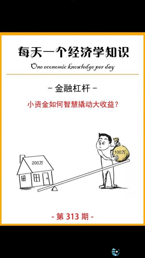 金融杠杆是什么意思_高杠杆风险_金融杠杆原理