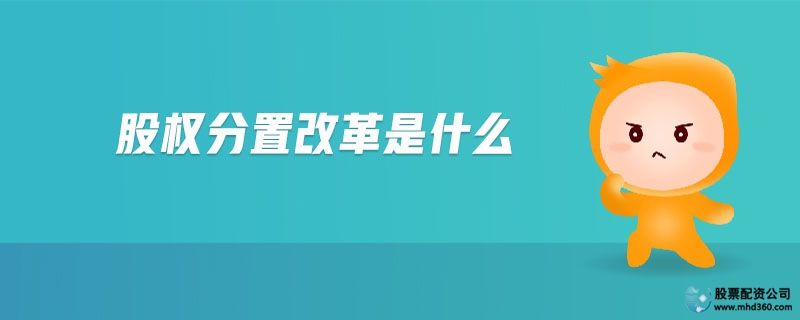 股权分置改革