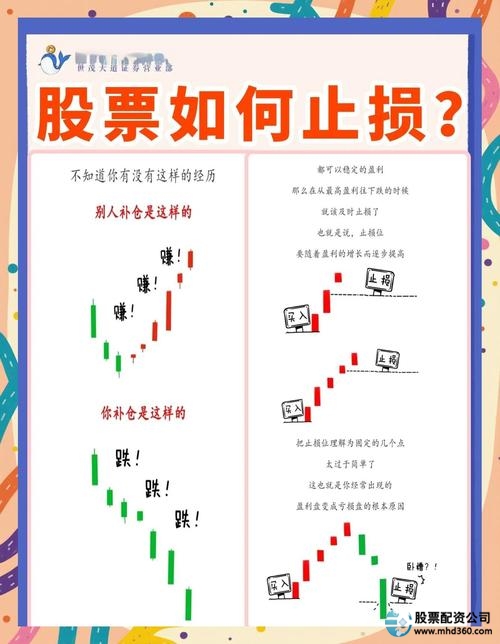 股票入门知识_股票入门基础概念_股票新手避坑指南