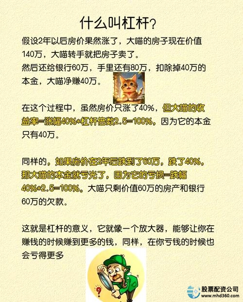 股票加杠杆原理及风险_股票 加杠杆_评估投资能力风险承受能力